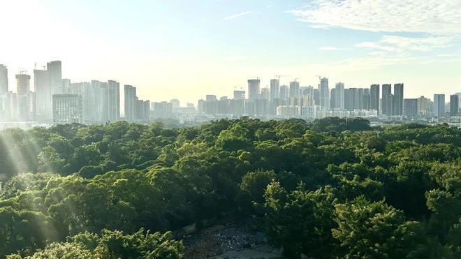 深圳天源华府离地铁多远规划的学校是哪些天源华府最新价格(图8)