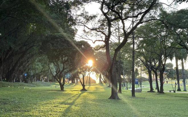 深圳天源华府离地铁多远规划的学校是哪些天源华府最新价格(图10)