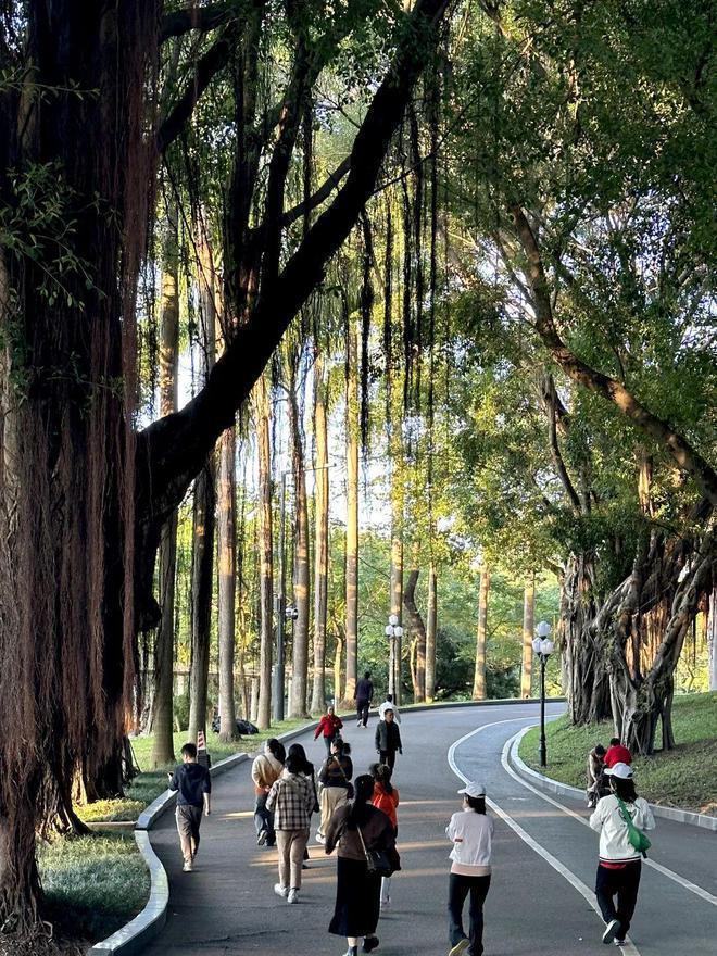 深圳天源华府离地铁多远规划的学校是哪些天源华府最新价格(图12)