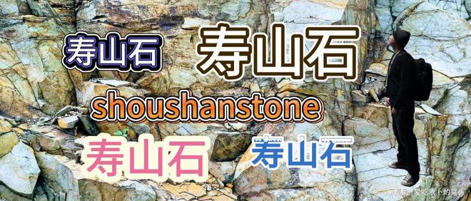 九游体育网站：寿山的金包银田石是什么？(图3)