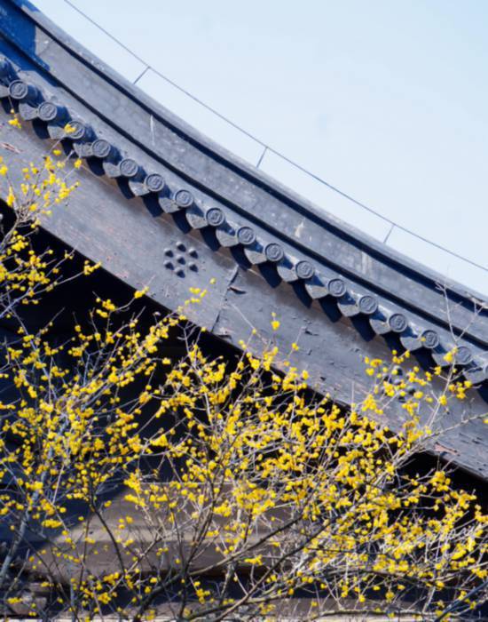 长三角铁路的“两条环线”串起这些沿途风景(图40)