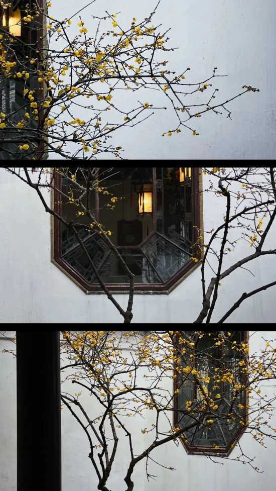 长三角铁路的“两条环线”串起这些沿途风景(图43)