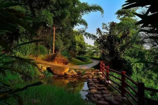长三角铁路的“两条环线”串起这些沿途风景(图57)