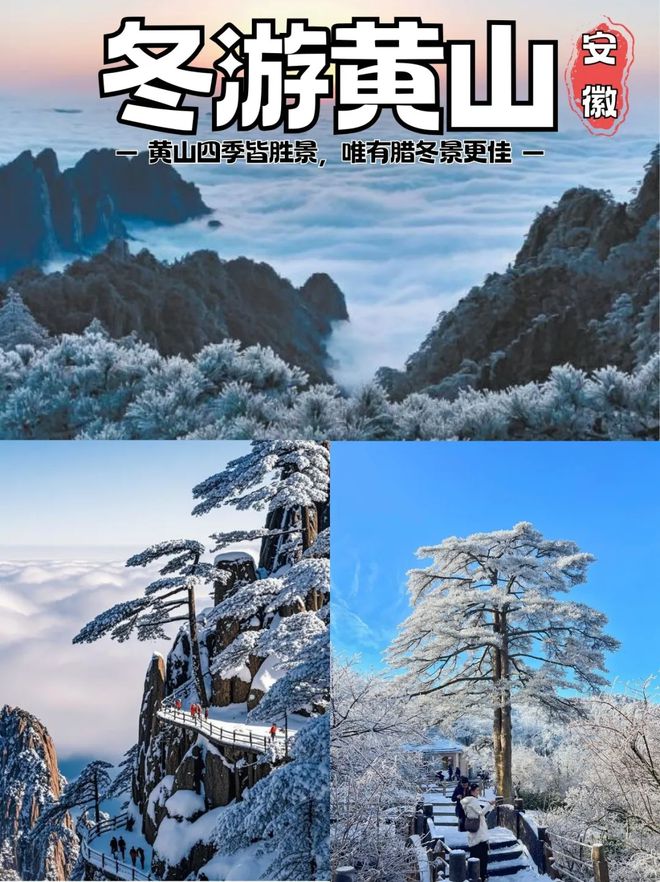 九游体育网站：黄山旅游攻略三日游自由行攻略黄山3天游报价多少？避坑指南(图1)