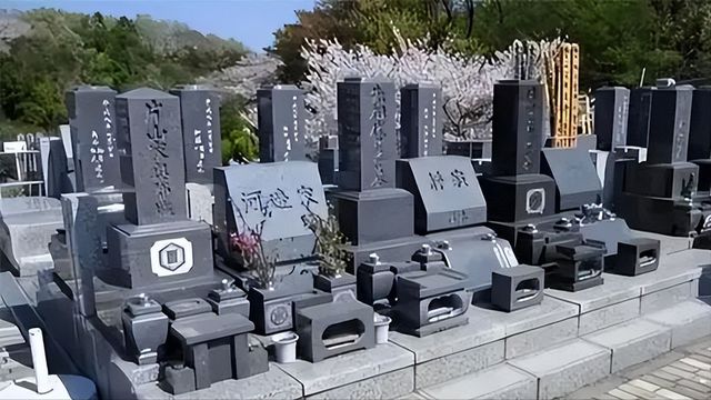 暴赚500亿！山东姑娘在小县城把棺材卖给欧洲人在海外杀疯了(图3)