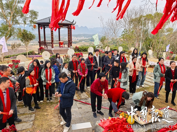 九游体育网站：英德茶趣园景区元宵节将举办民间文艺汇演助力乡村振兴(图6)