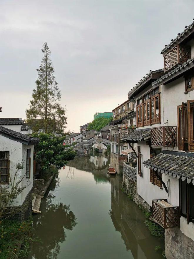 上海的这条老街成为沪上市民水乡古镇游的新去处(图2)