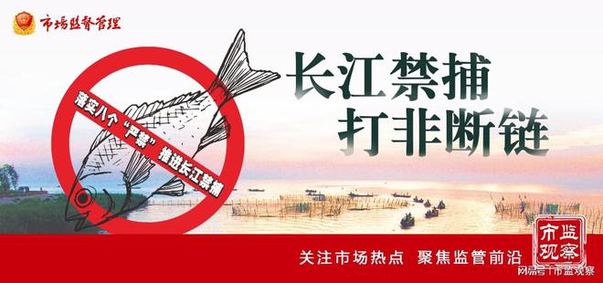 雅安市雨城区市场监管局打好长江禁捕打非断链“持久战”(图2)
