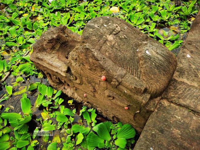 九游体育：探访自贡历史建筑之牌坊村双龙桥(图7)