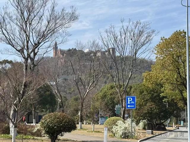 上海最不幸的别墅区绷不住了(图2)