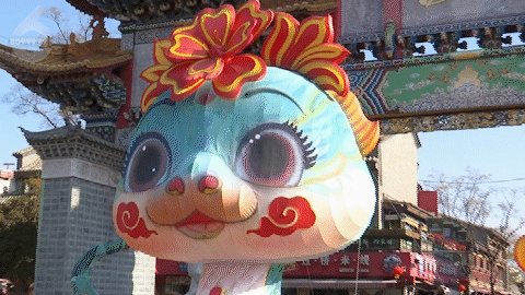 九游体育：萌翻了！这条“青蛇”炫彩出圈游客：和古镇绝配(图1)
