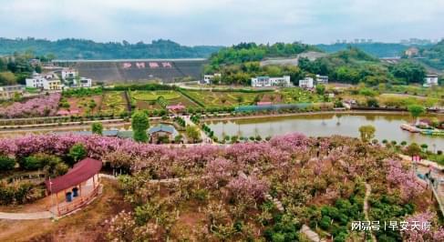 九游体育：创建“天府旅游名县”四川隆昌融合发展丰富旅游产品(图5)