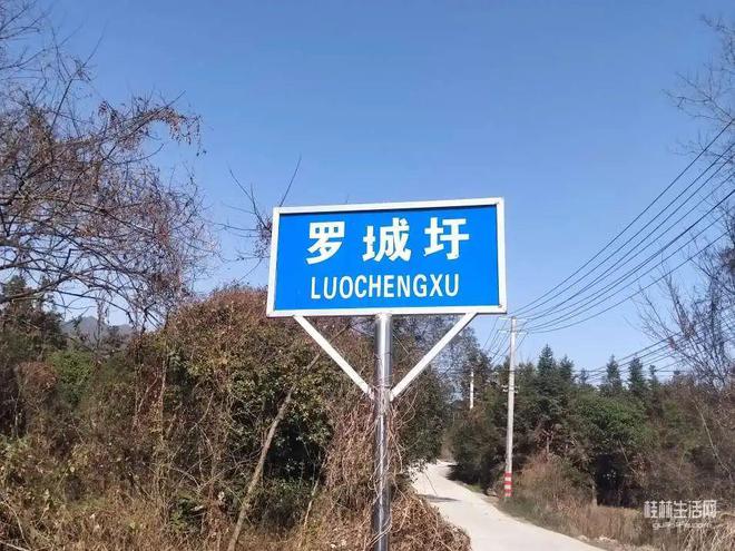 一天赶完8个圩场收获颇丰！这就是桂林圩日的魅力！(图1)