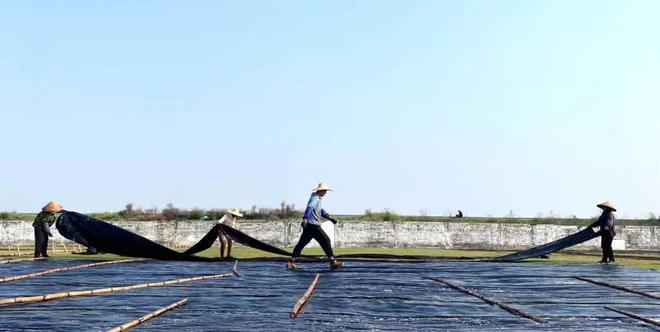 九游体育网站：顺德非遗再度登榜！顺德融媒作品入选全国县级融媒优秀作品(图2)