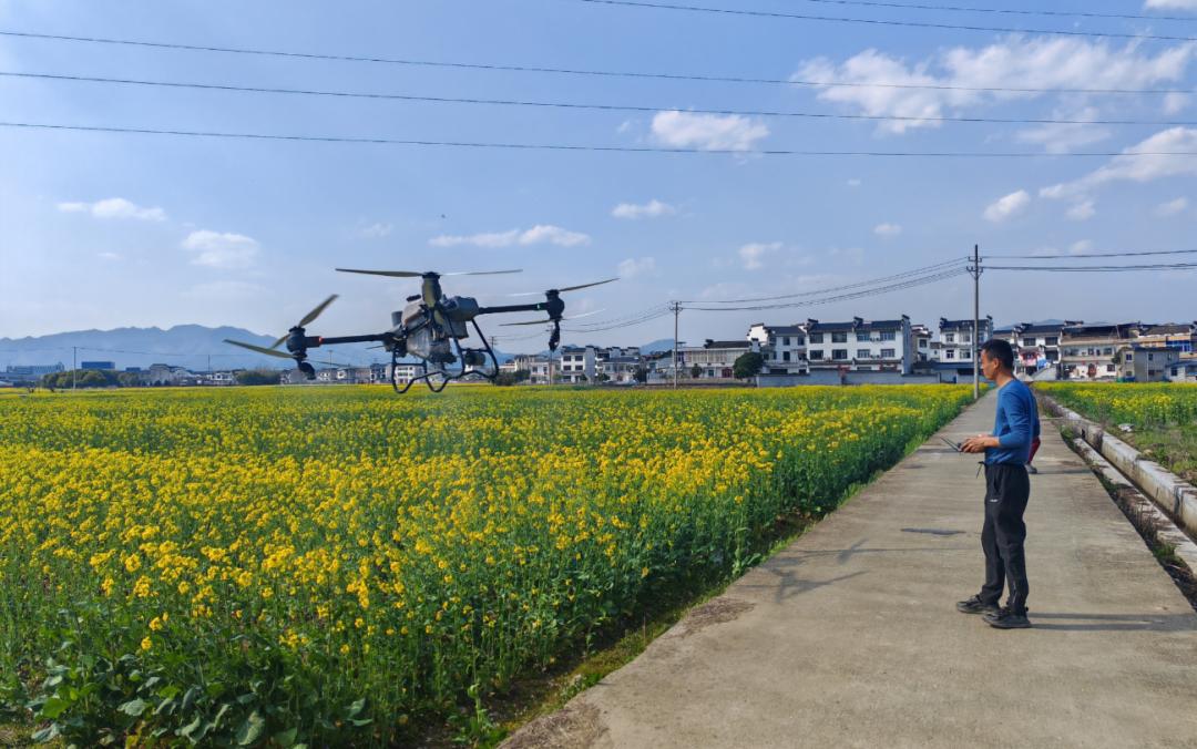 又是爱上黄山的一天(图4)