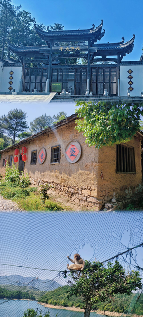 工作动态皖韵风华践旅管真知——旅游管理专业实践之旅(图2)