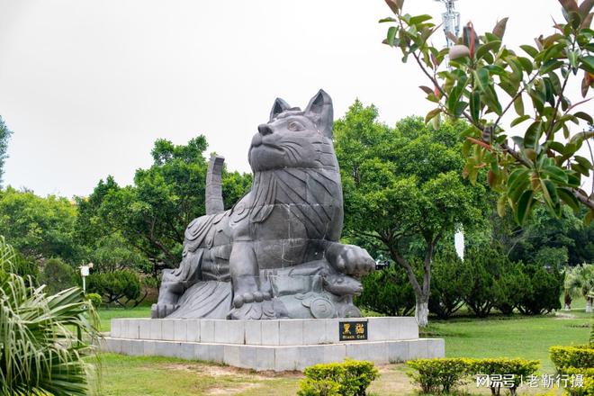 九游体育：崇武古城的石雕博览园明明是配角还收费网友：抢了古城的风头(图6)