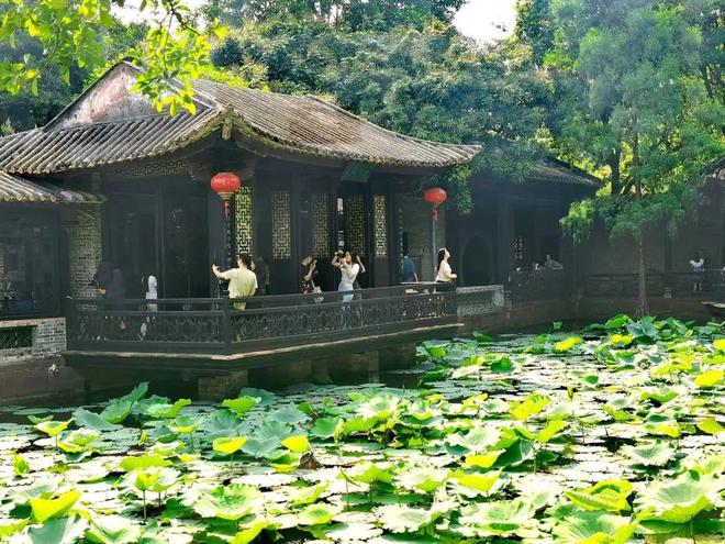 开启“逛吃佛山”模式！这5条游玩线路让你大饱眼福和口福→(图6)