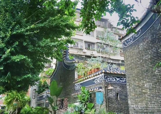 开启“逛吃佛山”模式！这5条游玩线路让你大饱眼福和口福→(图21)