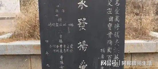 山东左宝贵墓地：破败寒酸杂草丛生华表上的挽联令人动容(图1)