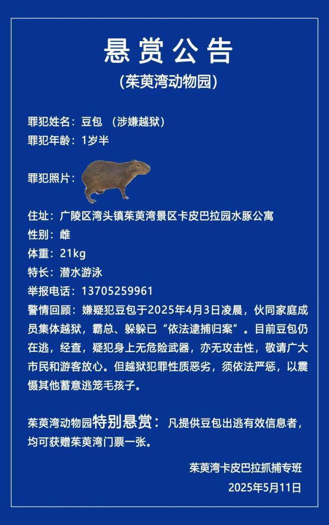 PARK699柏舍公寓-享受陆家嘴“都市绿核+金融芯”的顶配生活(图12)