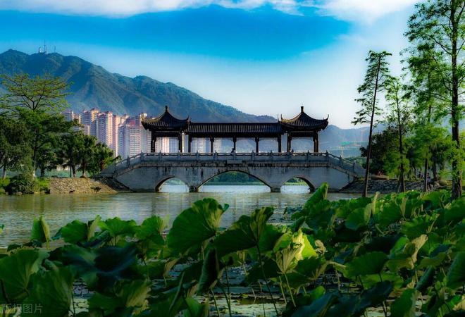 清远市哪个区县市最富？清远市各区县市经济实力(图3)