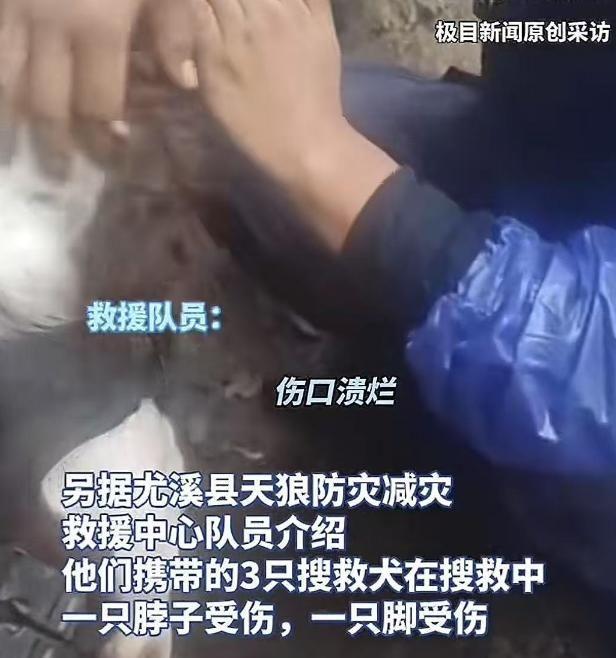 九游体育网站：救援称山区地带危险可能会面临失温饥饿风险(图14)