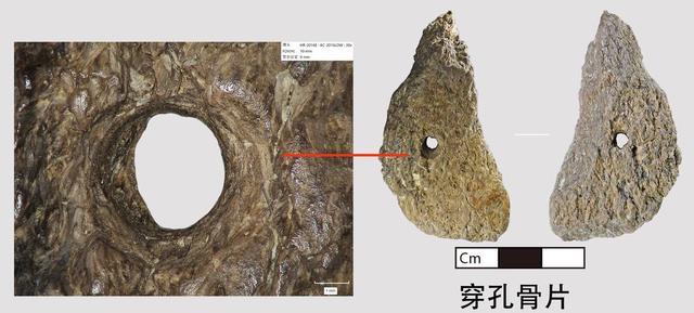 遗物带刻划痕6万年前的东亚古人类在想什么？｜水落石出濛溪河(图3)