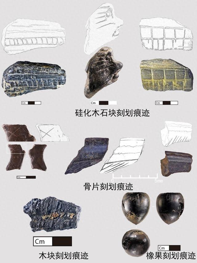 遗物带刻划痕6万年前的东亚古人类在想什么？｜水落石出濛溪河(图1)