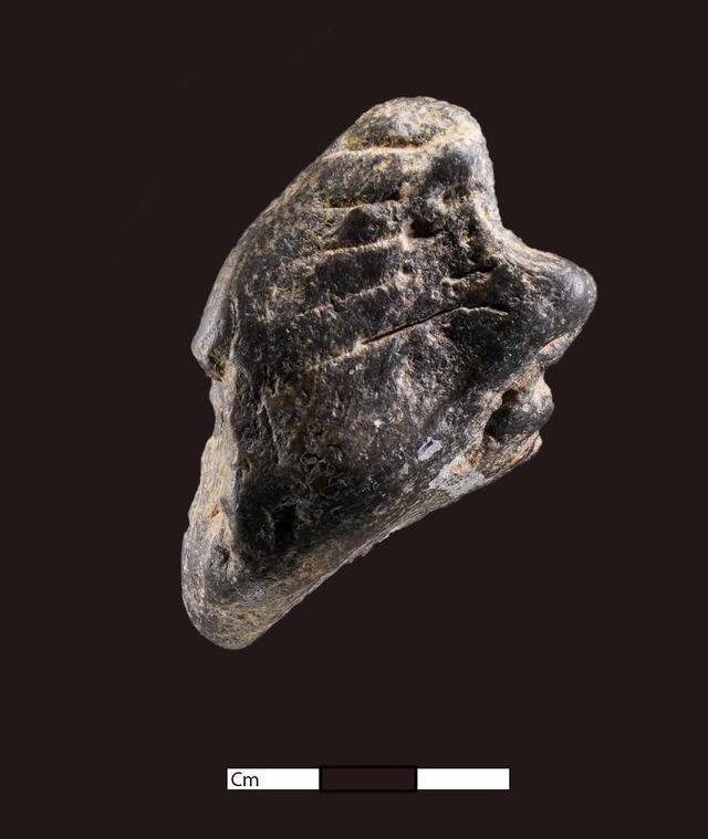 遗物带刻划痕6万年前的东亚古人类在想什么？｜水落石出濛溪河(图2)