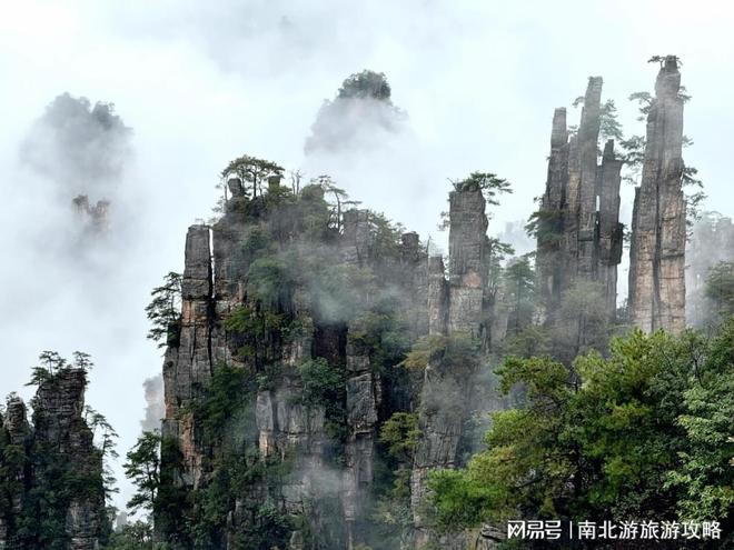 亲测张家界旅游跟团5天1000元比自由行省了50%！找对导游关键(图3)