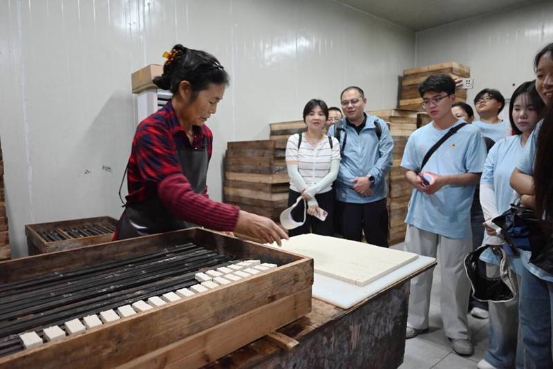 安徽中澳科技职业学院实践团探秘徽州非遗助力大黄山文旅发展(图2)