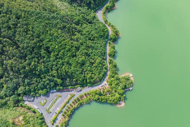 九游体育：高铁1h直达！被低估的避暑胜地最低仅有16℃1078座岛的洗肺氧吧美食众多游客仅西湖的110！(图3)