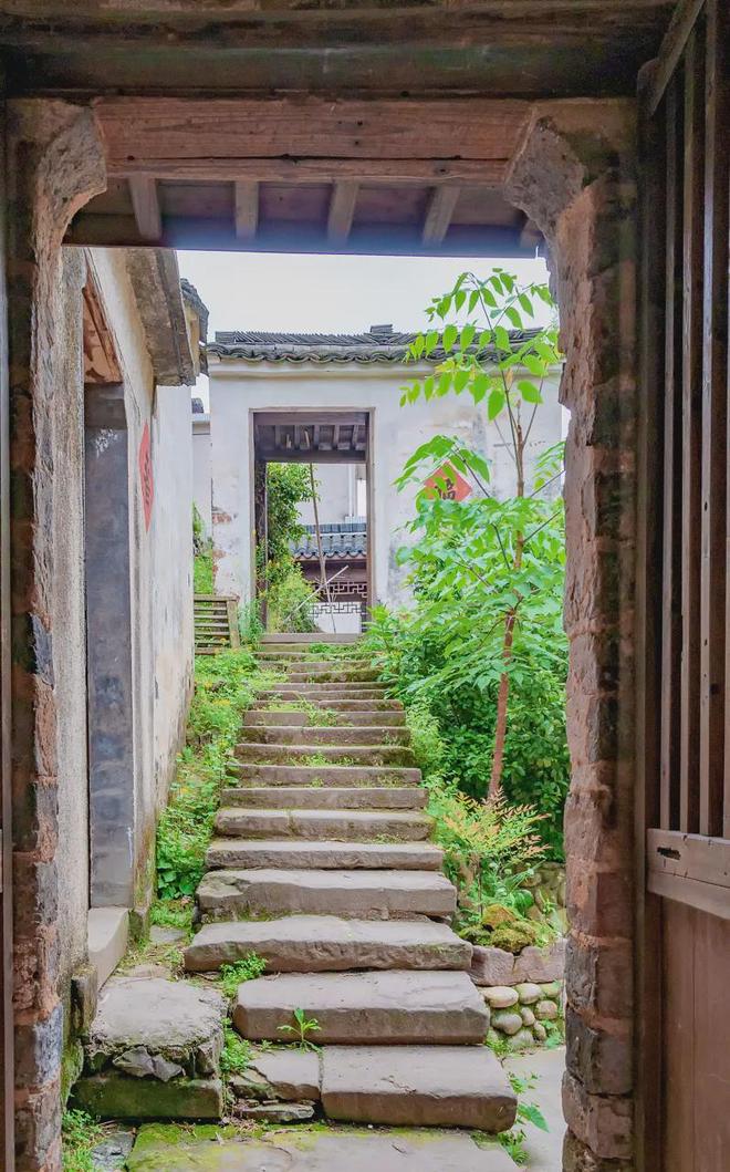 九游体育：高铁1h直达！被低估的避暑胜地最低仅有16℃1078座岛的洗肺氧吧美食众多游客仅西湖的110！(图7)