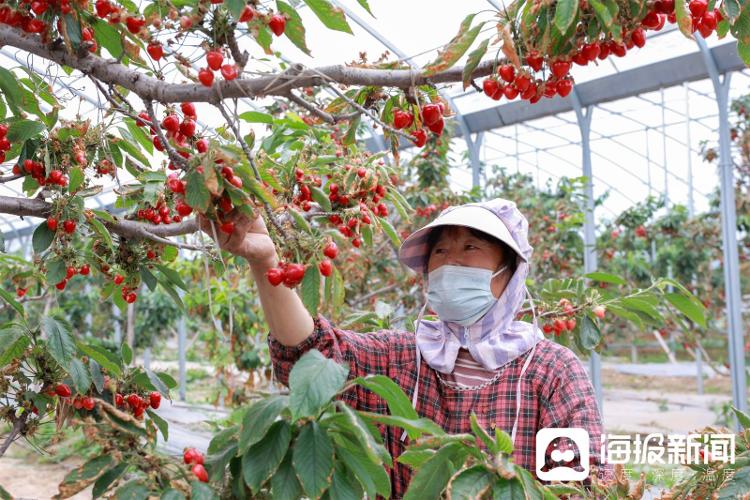 视觉山东一周图选（2025年第19期）(图8)