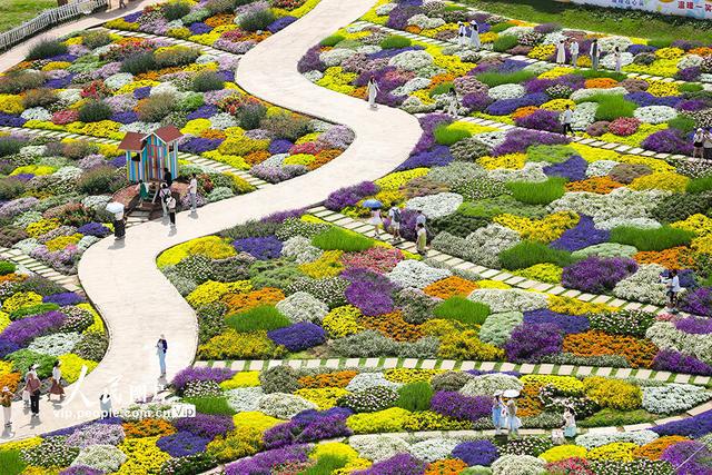 四川成都：漫步花海(图3)